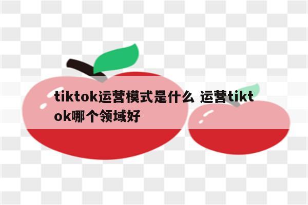 tiktok运营模式是什么 运营tiktok哪个领域好