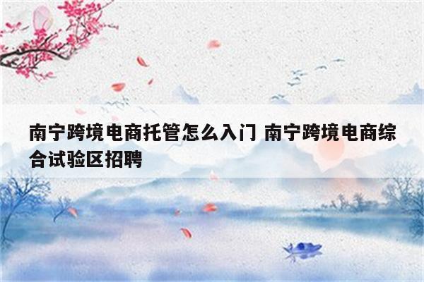 南宁跨境电商托管怎么入门 南宁跨境电商综合试验区招聘