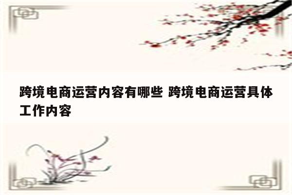 跨境电商运营内容有哪些 跨境电商运营具体工作内容