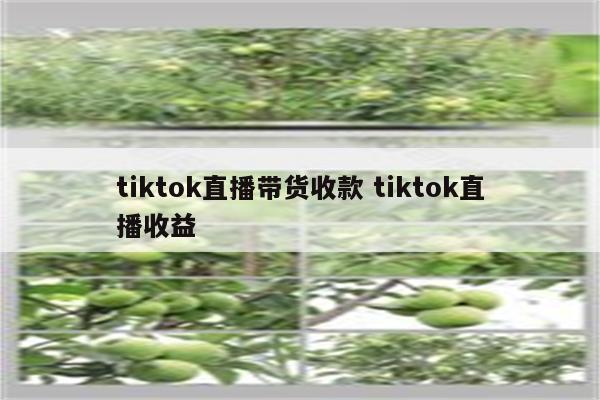 tiktok直播带货收款 tiktok直播收益