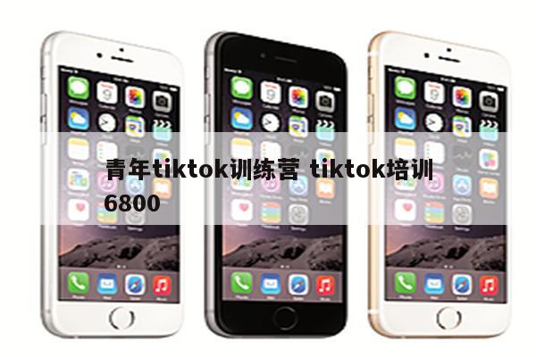 青年tiktok训练营 tiktok培训6800