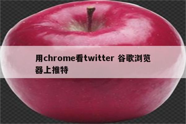 用chrome看twitter 谷歌浏览器上推特