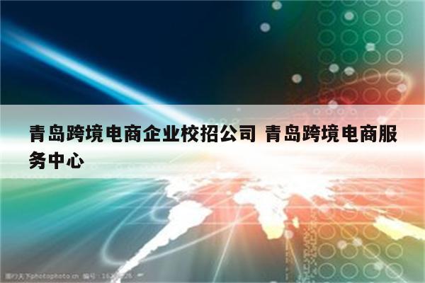 青岛跨境电商企业校招公司 青岛跨境电商服务中心