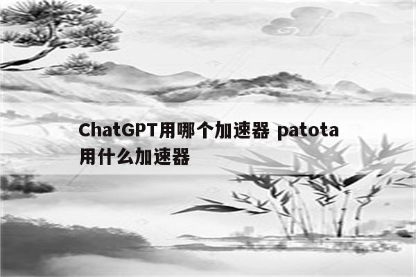 ChatGPT用哪个加速器 patota用什么加速器