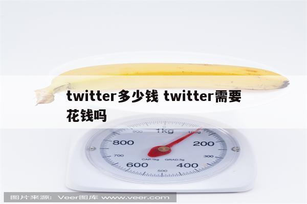 twitter多少钱 twitter需要花钱吗