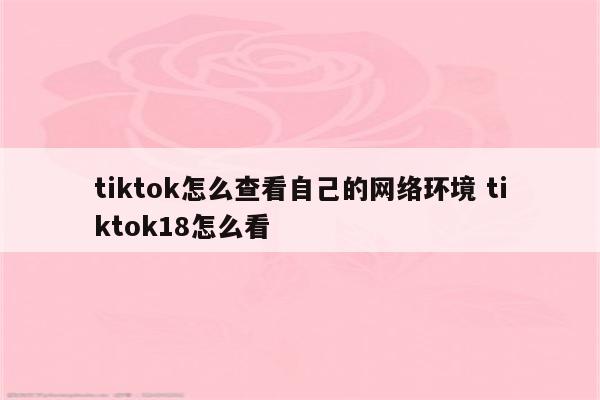 tiktok怎么查看自己的网络环境 tiktok18怎么看