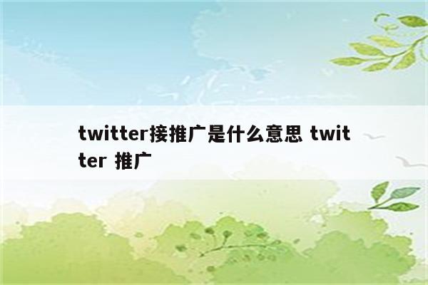 twitter接推广是什么意思 twitter 推广