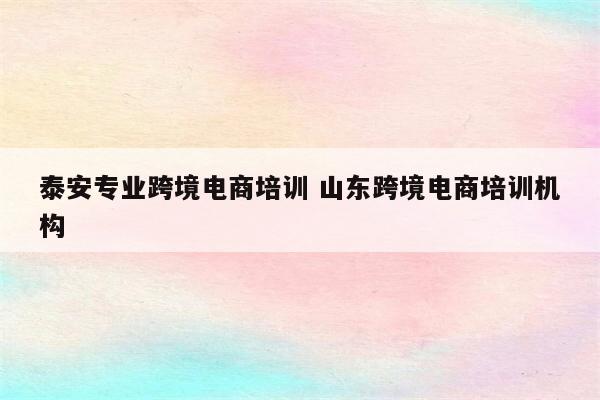 泰安专业跨境电商培训 山东跨境电商培训机构