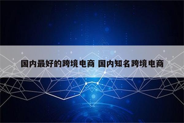 国内最好的跨境电商 国内知名跨境电商