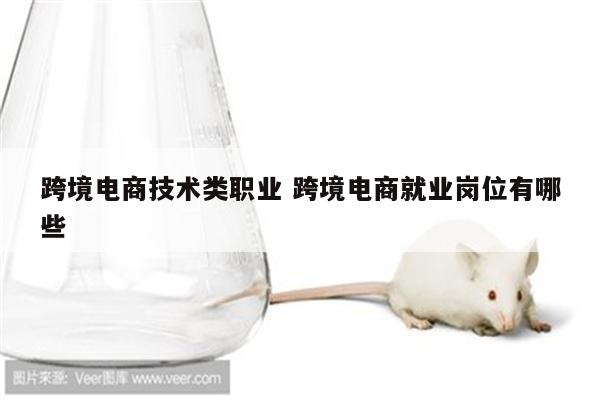 跨境电商技术类职业 跨境电商就业岗位有哪些