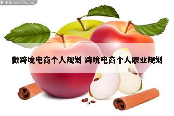 做跨境电商个人规划 跨境电商个人职业规划