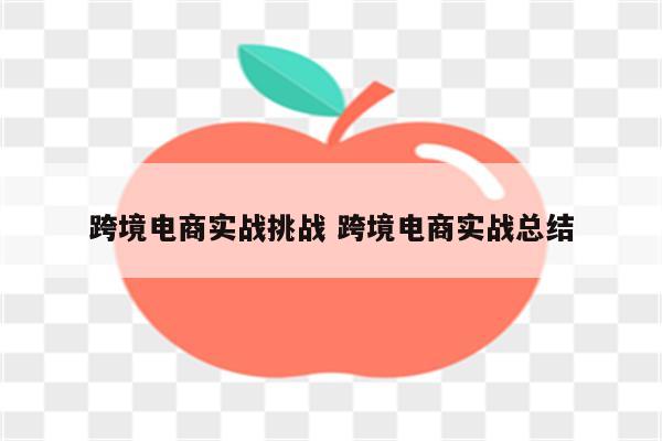 跨境电商实战挑战 跨境电商实战总结