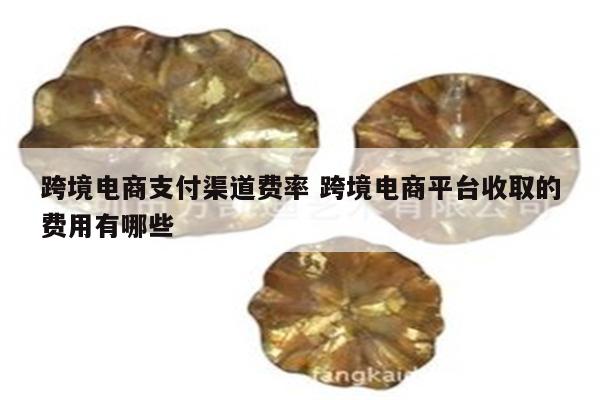 跨境电商支付渠道费率 跨境电商平台收取的费用有哪些