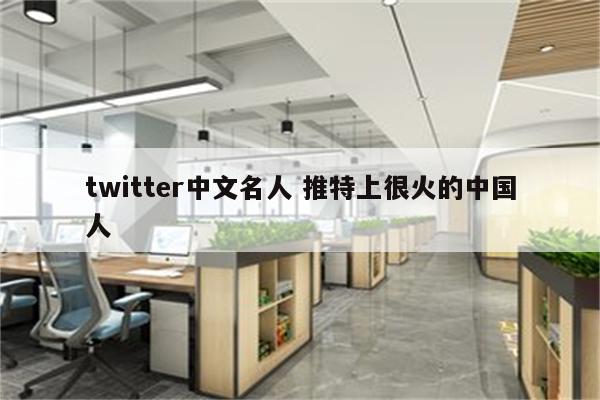 twitter中文名人 推特上很火的中国人