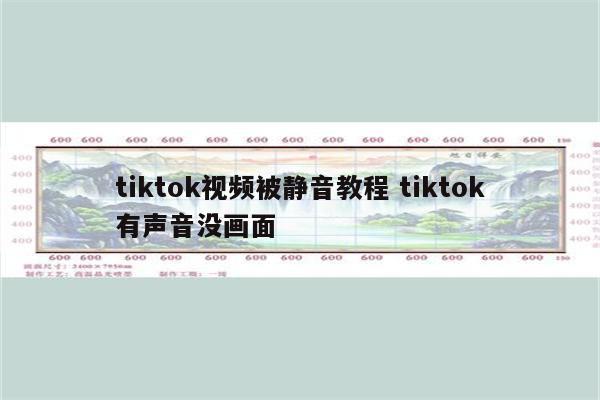 tiktok视频被静音教程 tiktok有声音没画面