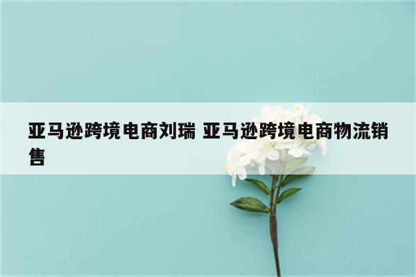 亚马逊跨境电商刘瑞 亚马逊跨境电商物流销售