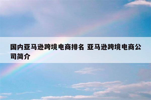 国内亚马逊跨境电商排名 亚马逊跨境电商公司简介