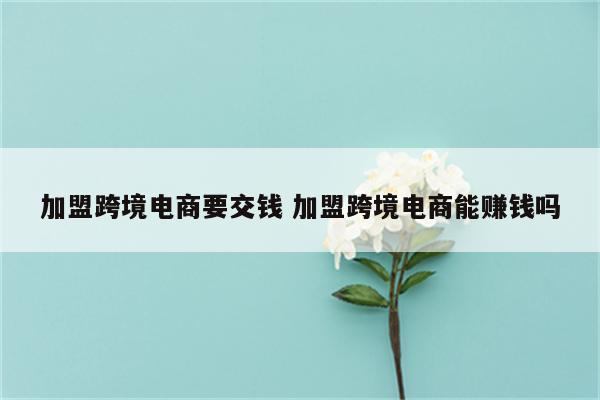 加盟跨境电商要交钱 加盟跨境电商能赚钱吗