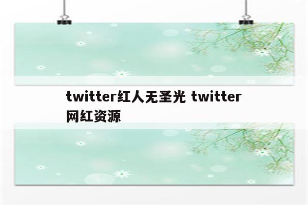 twitter红人无圣光 twitter网红资源