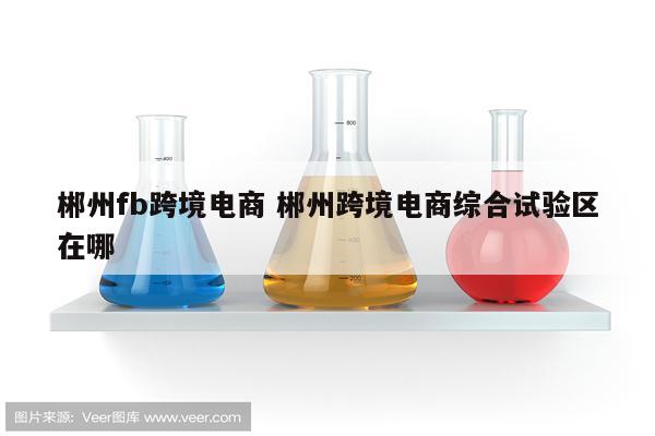 郴州fb跨境电商 郴州跨境电商综合试验区在哪