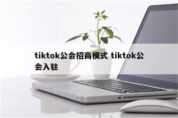 tiktok公会招商模式 tiktok公会入驻