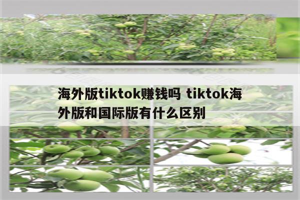 海外版tiktok赚钱吗 tiktok海外版和国际版有什么区别
