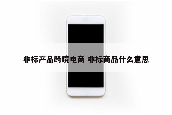 非标产品跨境电商 非标商品什么意思