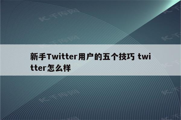 新手Twitter用户的五个技巧 twitter怎么样