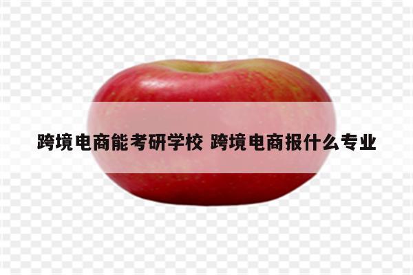 跨境电商能考研学校 跨境电商报什么专业