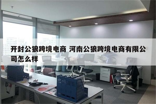 开封公狼跨境电商 河南公狼跨境电商有限公司怎么样