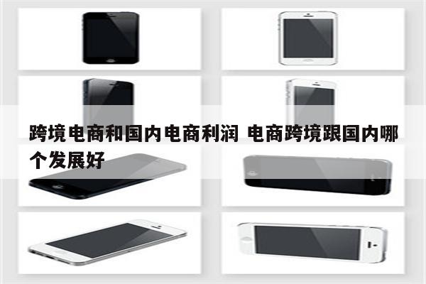 跨境电商和国内电商利润 电商跨境跟国内哪个发展好