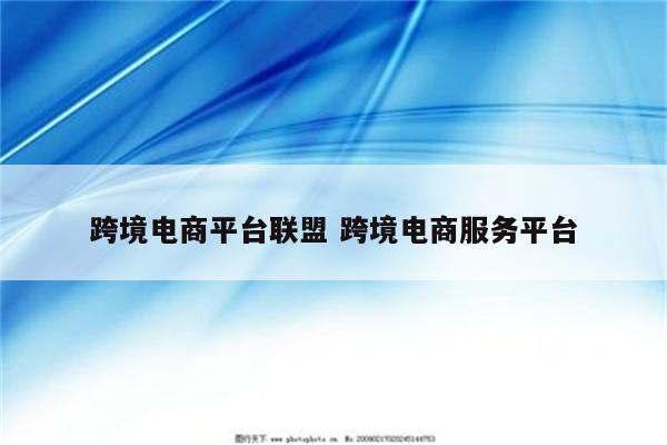 跨境电商平台联盟 跨境电商服务平台