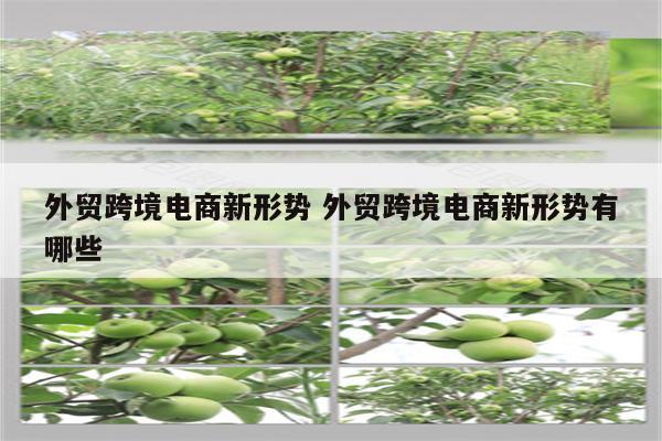 外贸跨境电商新形势 外贸跨境电商新形势有哪些