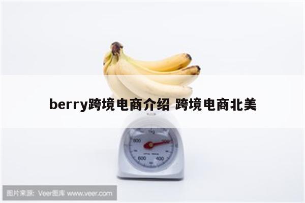 berry跨境电商介绍 跨境电商北美