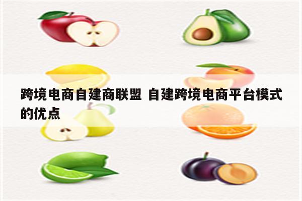 跨境电商自建商联盟 自建跨境电商平台模式的优点