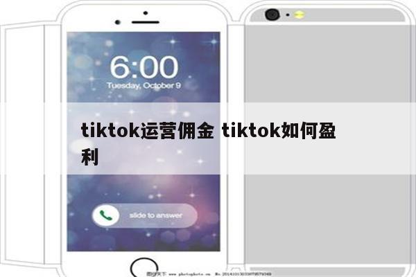 tiktok运营佣金 tiktok如何盈利