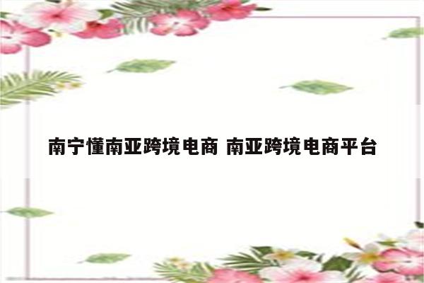 南宁懂南亚跨境电商 南亚跨境电商平台