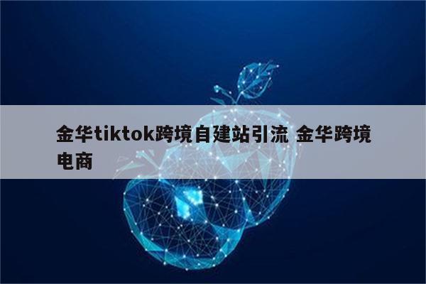 金华tiktok跨境自建站引流 金华跨境电商