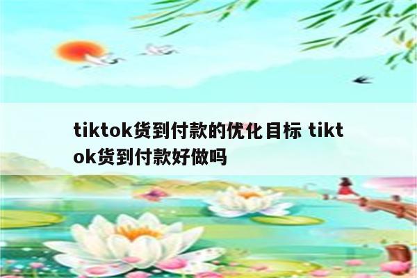 tiktok货到付款的优化目标 tiktok货到付款好做吗