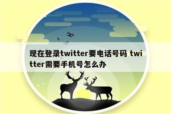 现在登录twitter要电话号码 twitter需要手机号怎么办