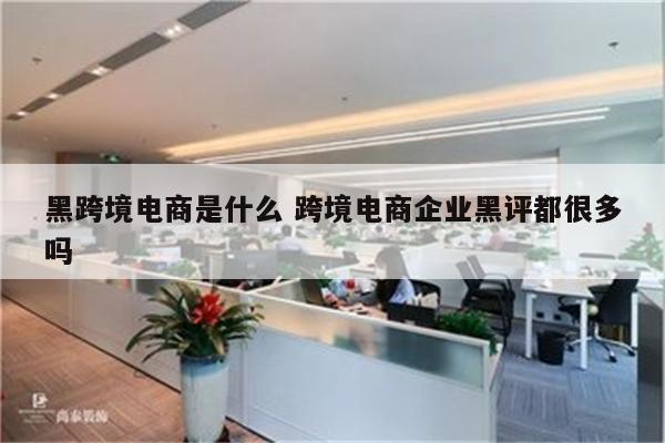 黑跨境电商是什么 跨境电商企业黑评都很多吗