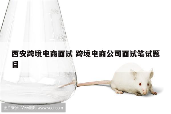 西安跨境电商面试 跨境电商公司面试笔试题目