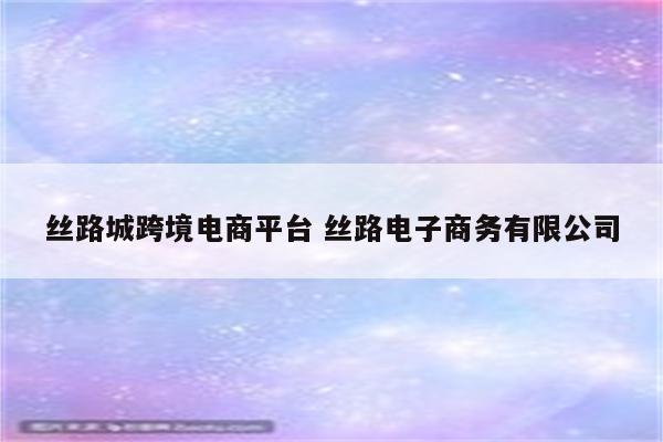 丝路城跨境电商平台 丝路电子商务有限公司
