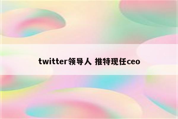 twitter领导人 推特现任ceo