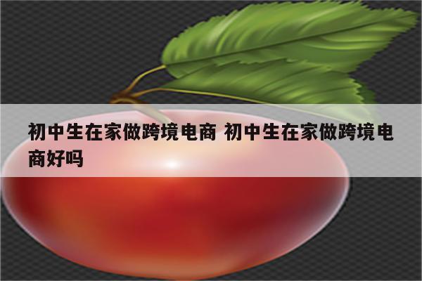 初中生在家做跨境电商 初中生在家做跨境电商好吗