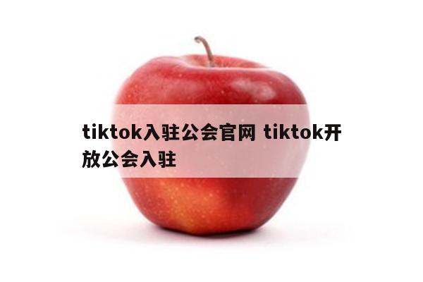 tiktok入驻公会官网 tiktok开放公会入驻