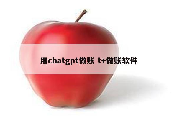 用chatgpt做账 t+做账软件