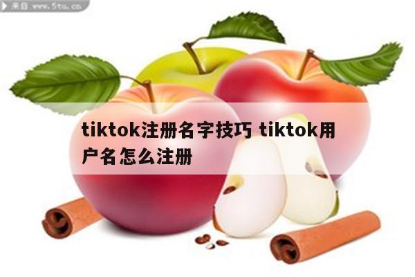 tiktok注册名字技巧 tiktok用户名怎么注册