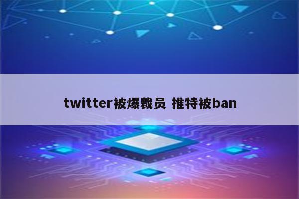 twitter被爆裁员 推特被ban