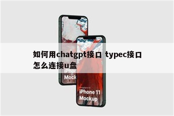 如何用chatgpt接口 typec接口怎么连接u盘